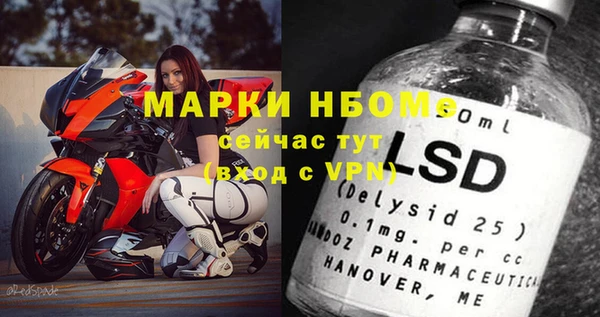 сатива Гусь-Хрустальный