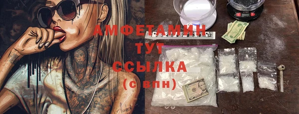 сатива Гусь-Хрустальный