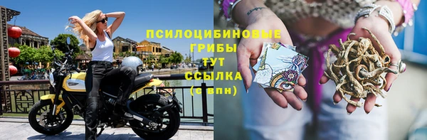 гидра Дмитров