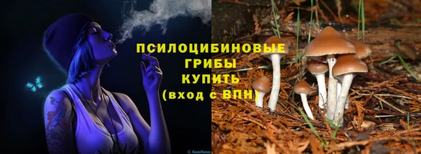 сатива Гусь-Хрустальный