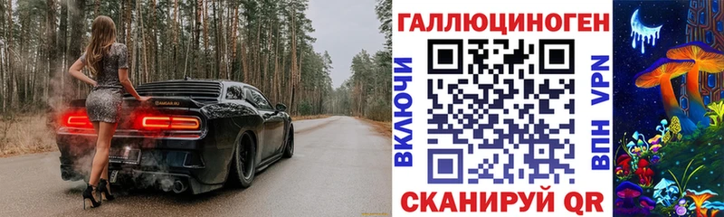 Псилоцибиновые грибы Psilocybe  Болхов 